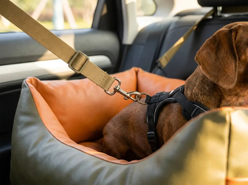 Close-up of the adjustable safety tether clipped to the dog chest harness inside the car seat