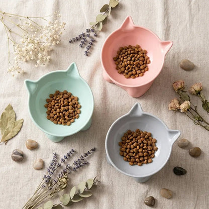 Raised Cat Food Bowl, Tilted Ceramic Bowl for Cats and Dogs - PetNestCo