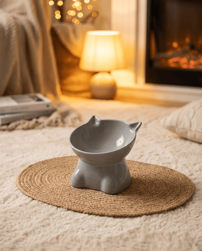 Raised Cat Food Bowl, Tilted Ceramic Bowl for Cats and Dogs - PetNestCo