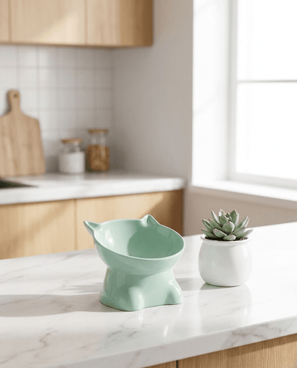 Raised Cat Food Bowl, Tilted Ceramic Bowl for Cats and Dogs - PetNestCo